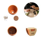 Terracotta Töpfchen - Dill Buori