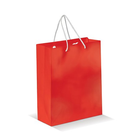 Laminierte Papiertasche, mittel Frilgix