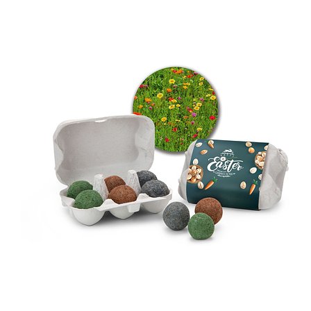 6 Samenbomben im Oster-Eierkarton