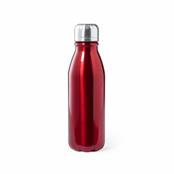 Trinkflasche Idcan