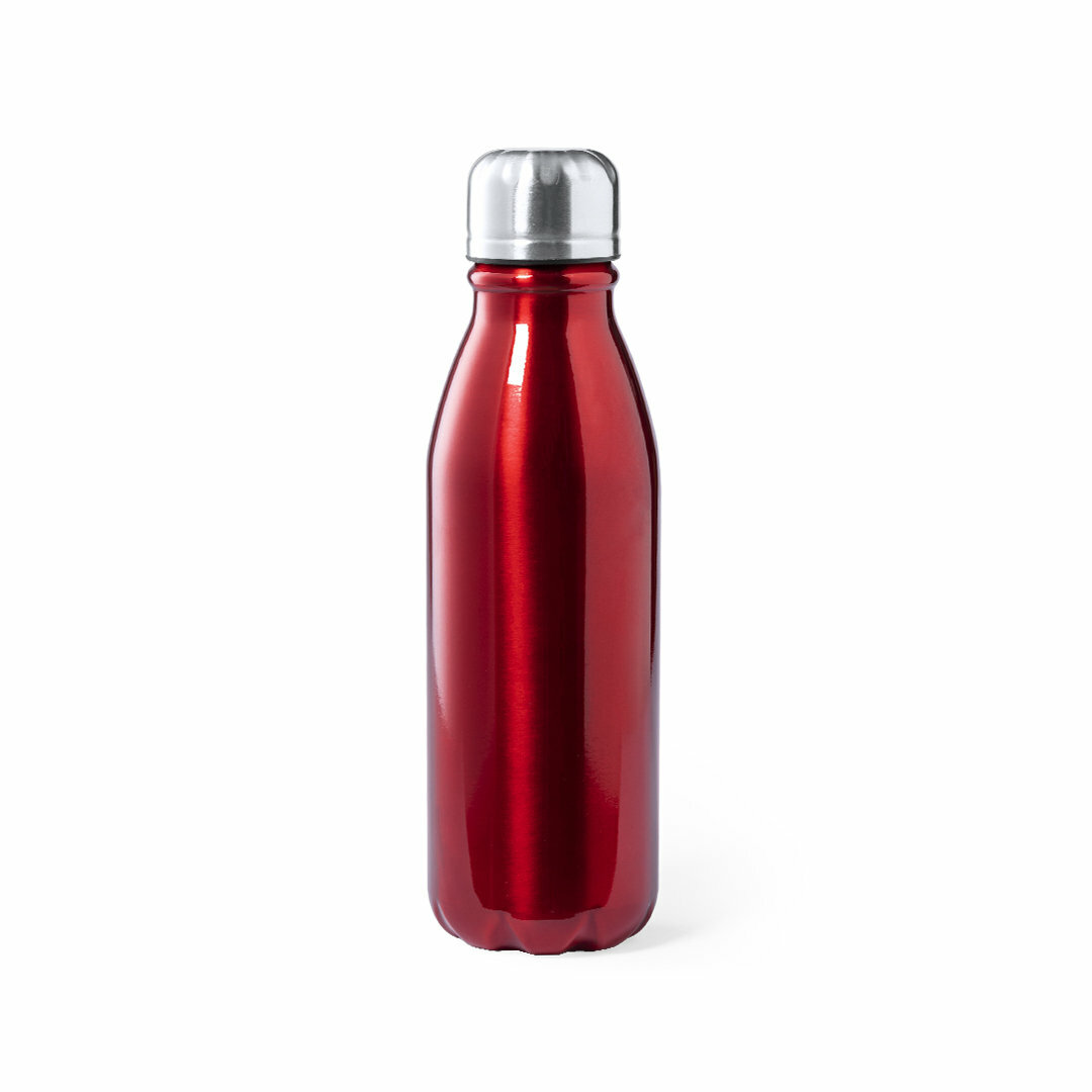 Trinkflasche Idcan