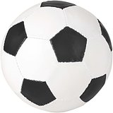 Football - Sarjasper