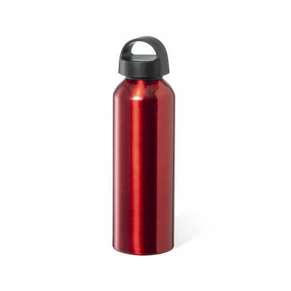 Trinkflasche Idthy