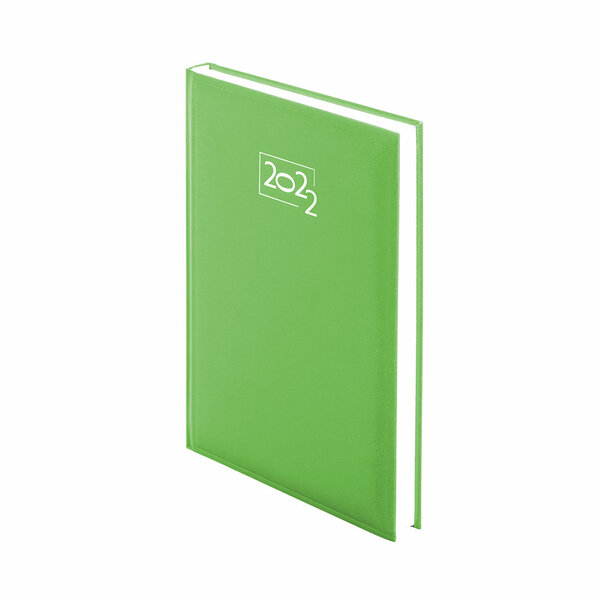 Tagebuch Idnes