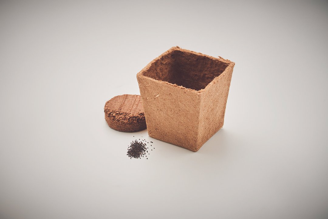 Pflanz-Set Minze Itarja