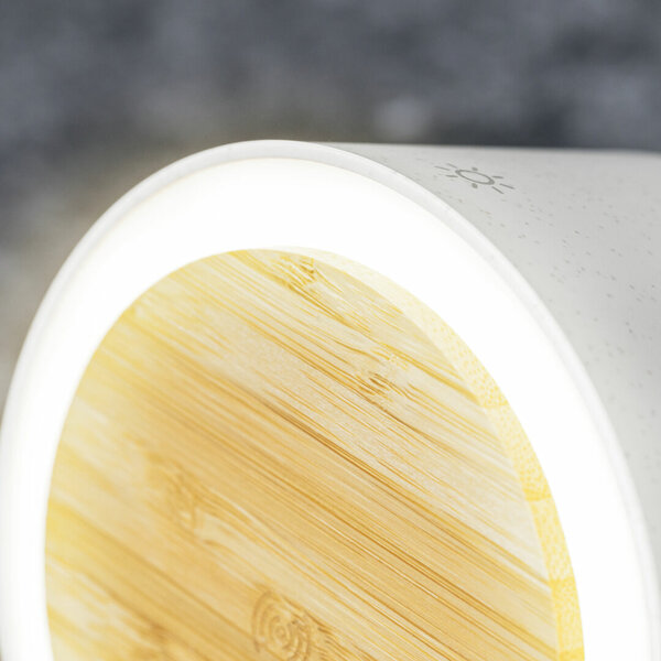 Multifunktion Lampe Iddow