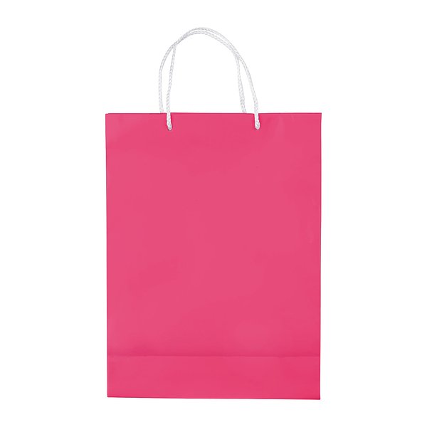 Laminierte Papiertasche, groß Utzio