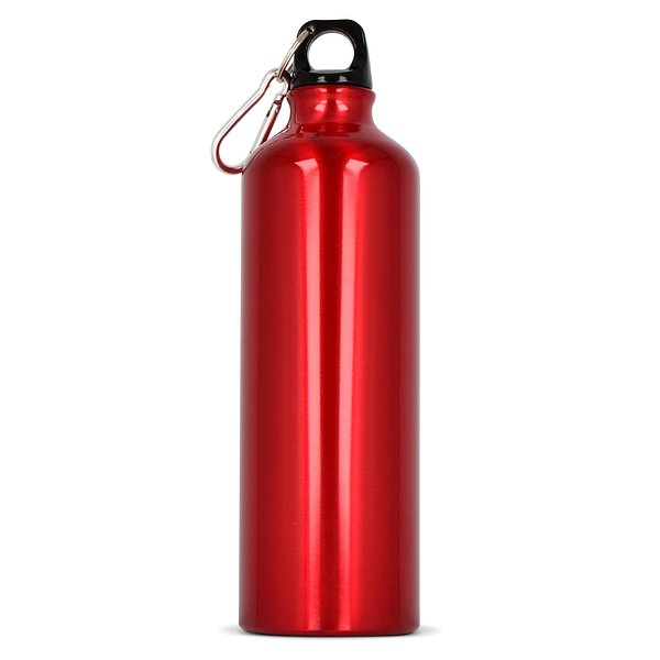 Aluminium Wasserflasche mit Karabiner 750ml Stgaunela