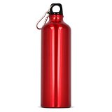 Aluminium Wasserflasche mit Karabiner 750ml Stgaunela
