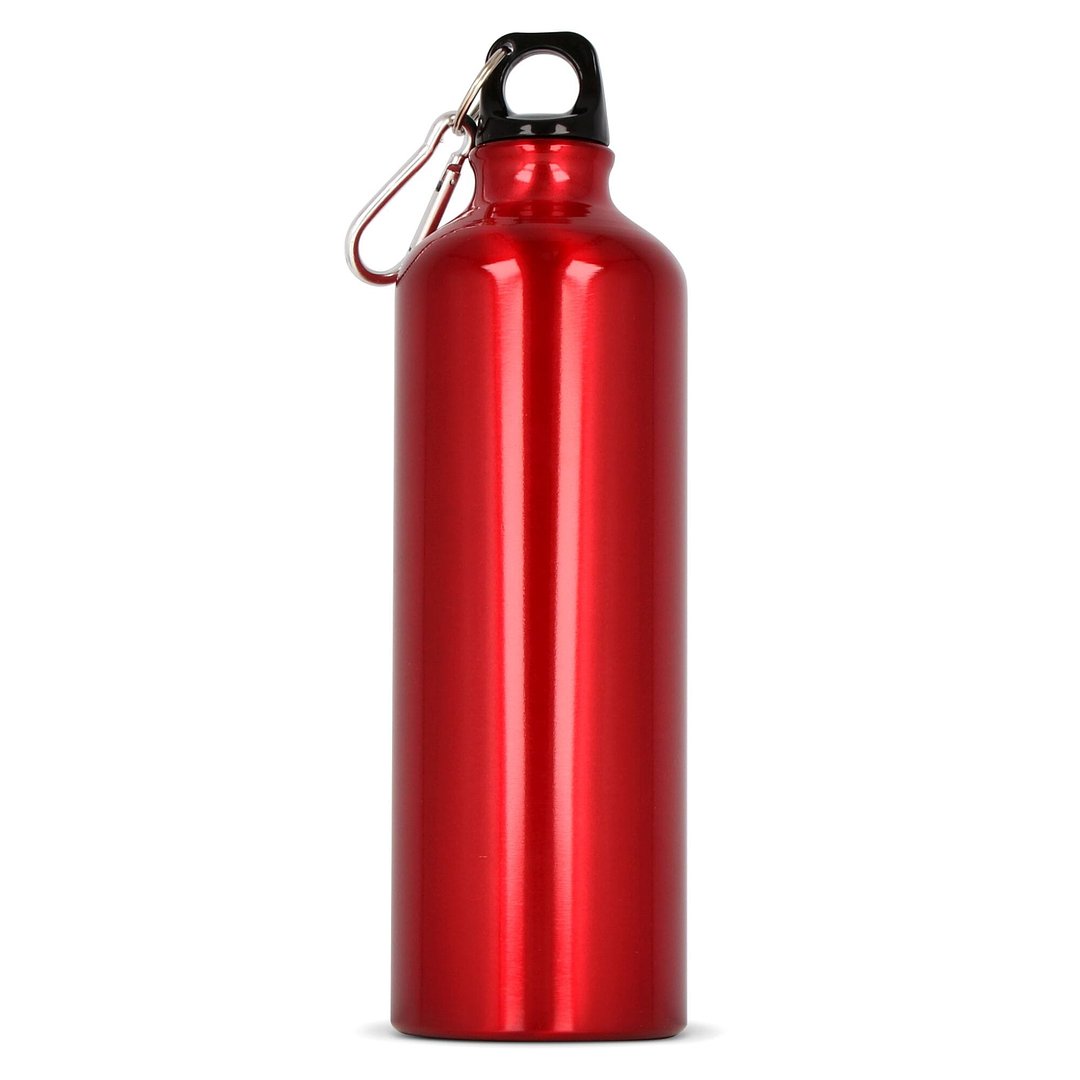 Aluminium Wasserflasche mit Karabiner 750ml Stgaunela