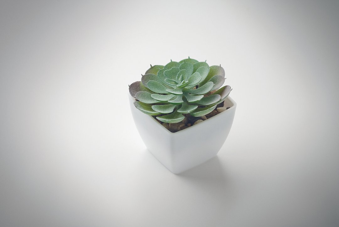 Mini-Kunstpflanze Bistinat