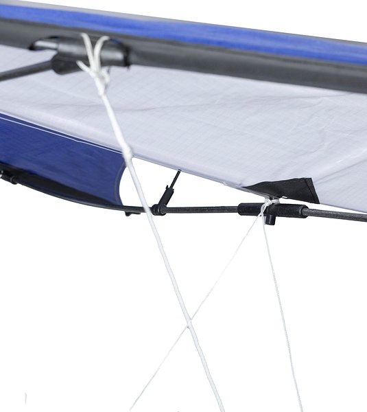 210T Polyester-Drachen Aninan