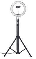 Set LED-Ringleuchte 26cm Chlanna
