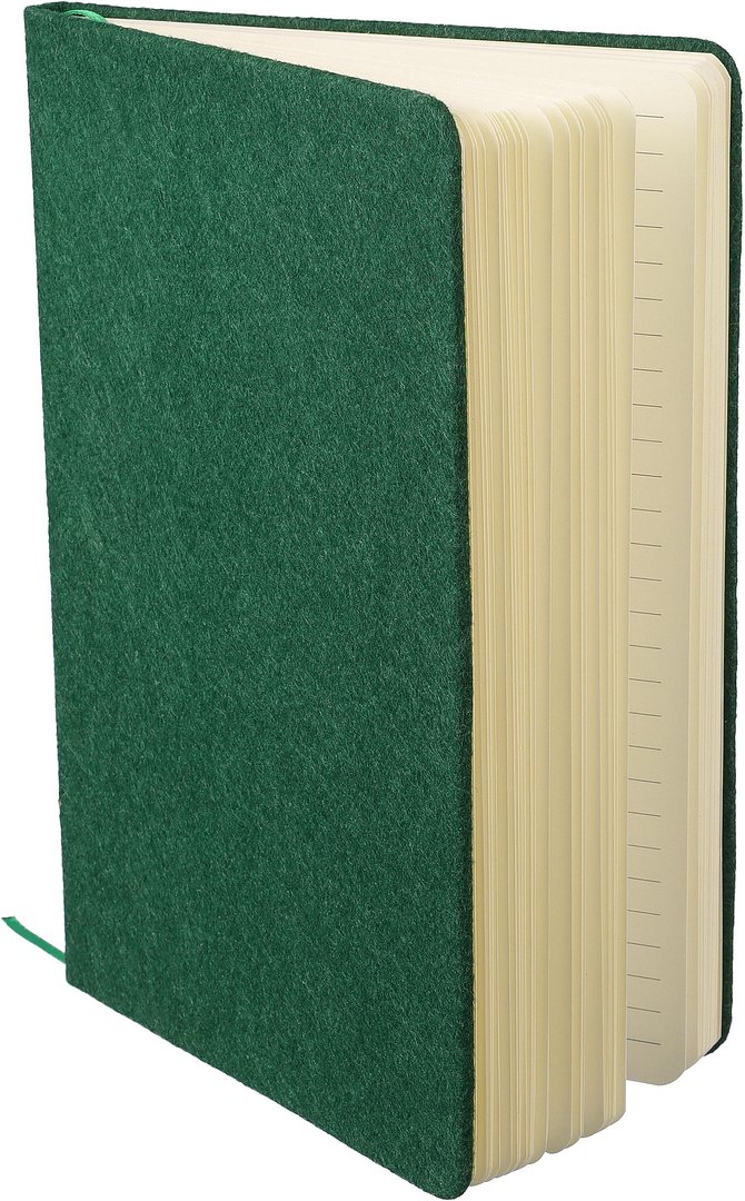 Notizbuch aus recyceltem Filz (A5) Trudin