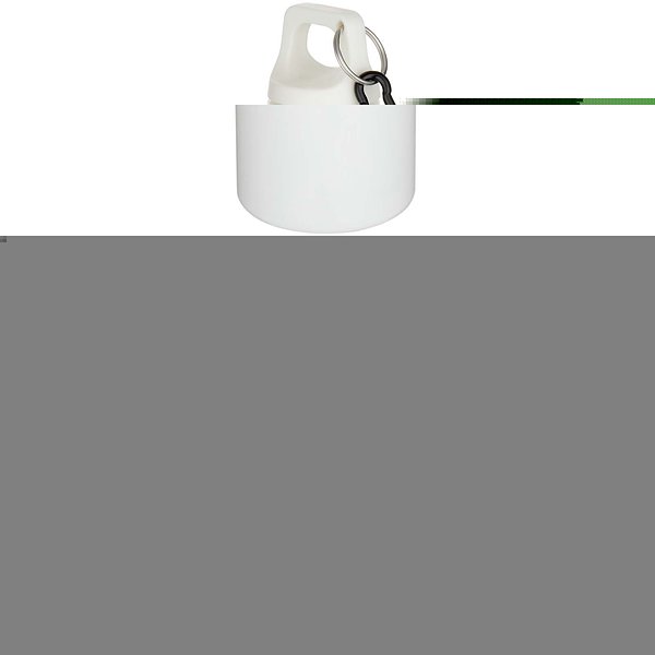 750 ml einfarbige RS-zertifizierte Wasserflasche aus recyceltem Kunststoff mit Karabinerhaken - Emeritlie