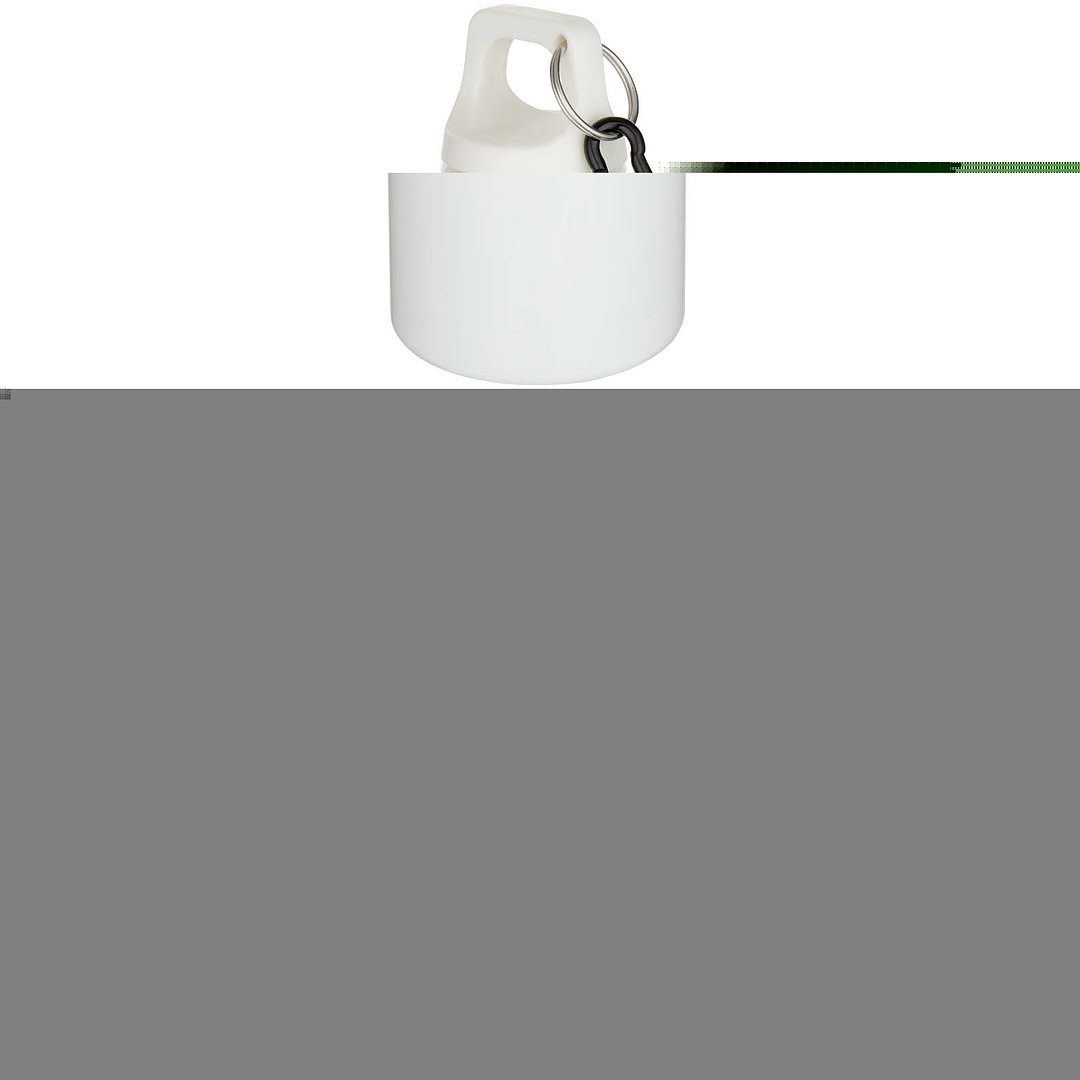 750 ml einfarbige RS-zertifizierte Wasserflasche aus recyceltem Kunststoff mit Karabinerhaken - Emeritlie