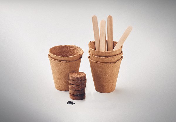 Saat-Set Sommerblumen Nelylas