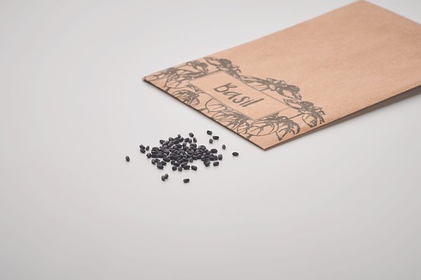 Samen Basilikum Luriteik