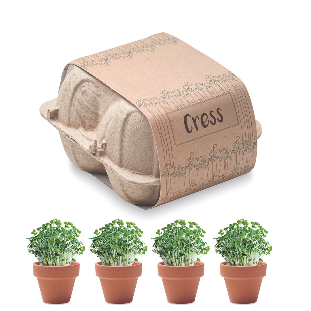 Saat-Set Kresse Lolll