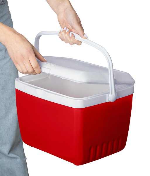 Kühlbox 13 Liter Orinan
