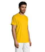 Uni T-Shirt 150g Joniafep