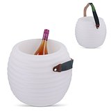 CoolLux Stimmungslicht und kabelloser Lautsprecher Orlini