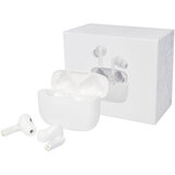 True Wireless Auto-Pair-Ohrhörer mit Etui - Paunst