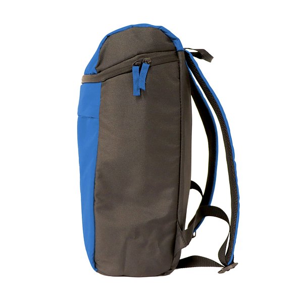 Kühlrucksack Basic Paunzi
