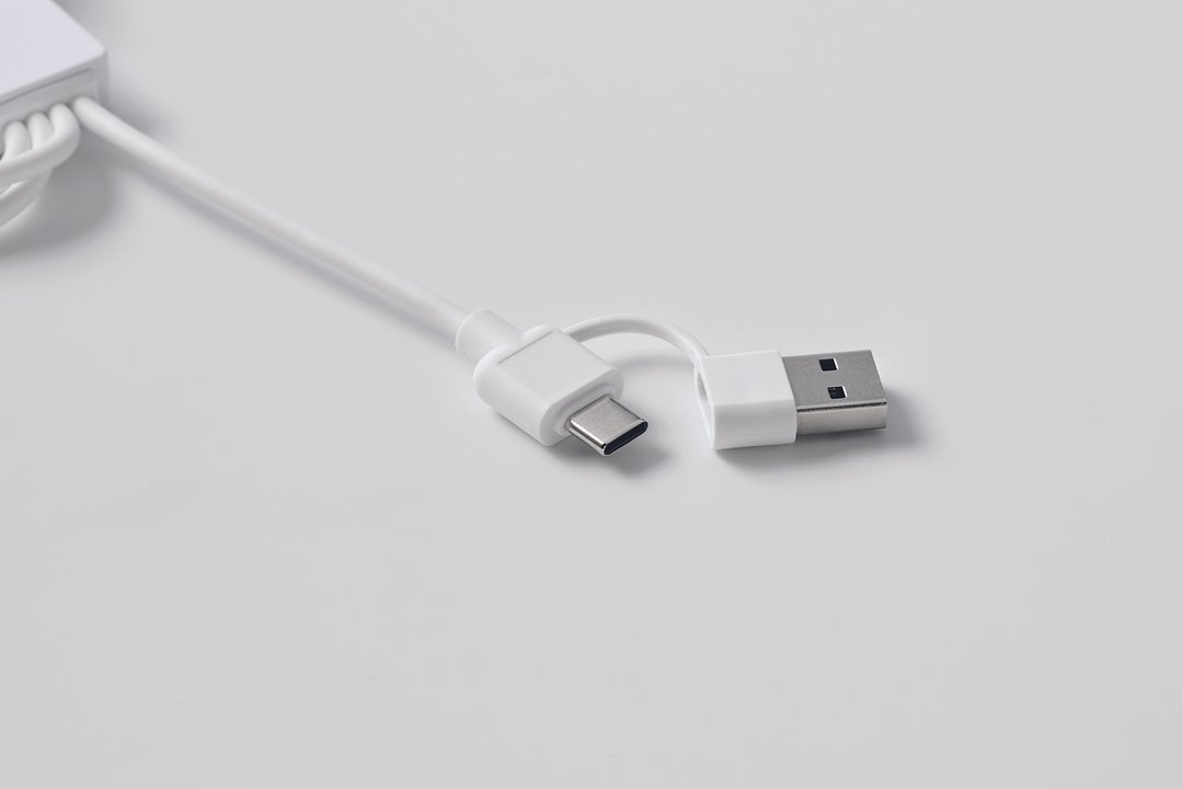 2in1 Ladekabel Typ-C Paltina