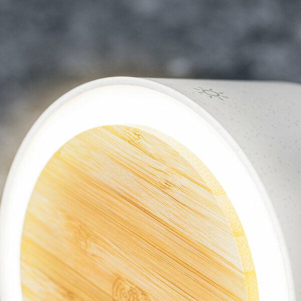 Multifunktion Lampe Iddow