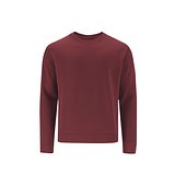 Kinder Sweatshirt Idmos