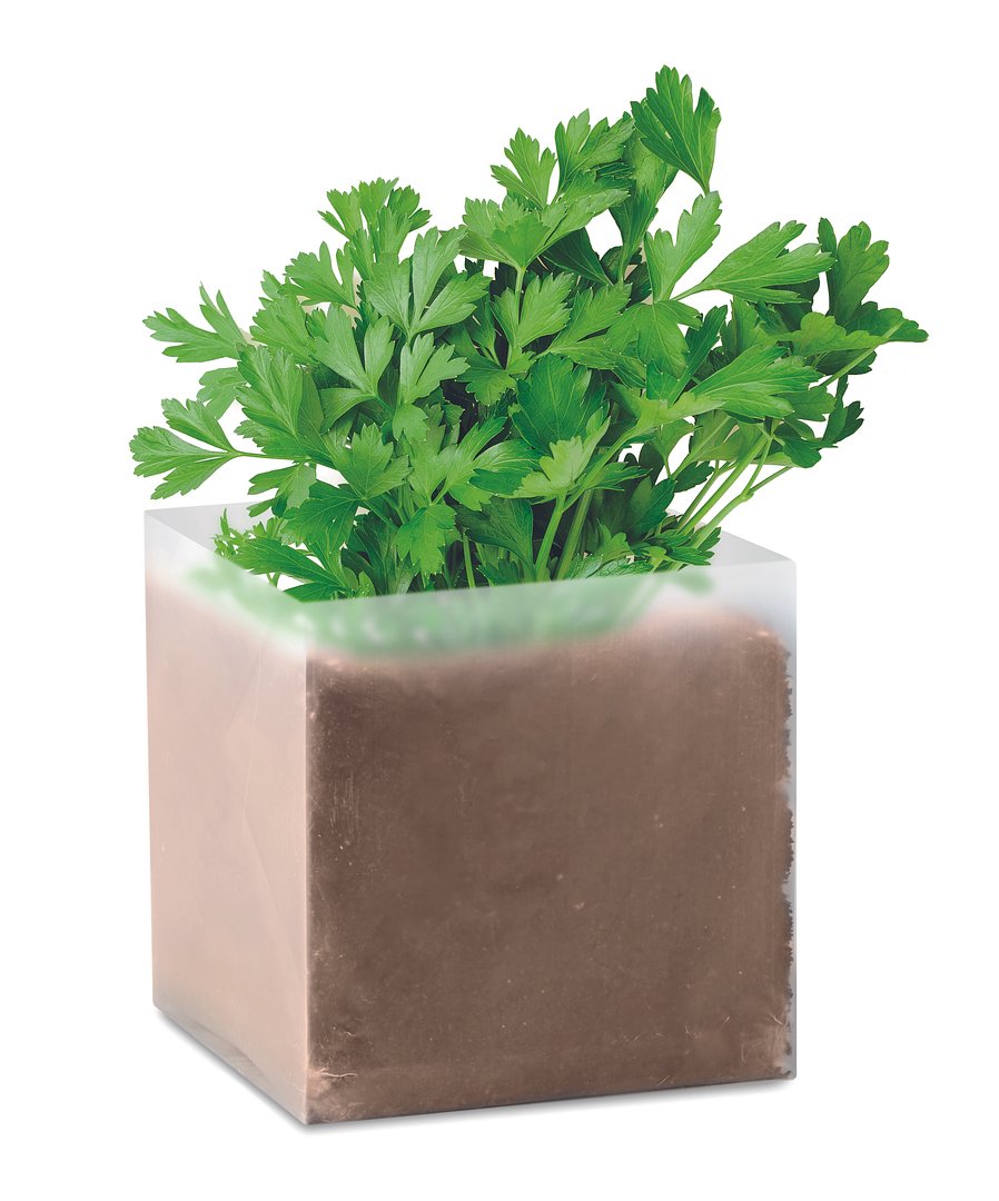 Pflanz-Set "Petersilie" Uongll