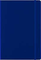 Notizbuch Bister | A5 | Liniert