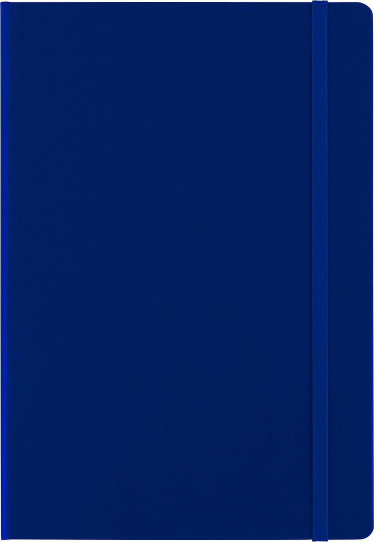 Notizbuch Bister | A5 | Liniert