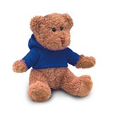 Teddybär mit Hoody Bengi