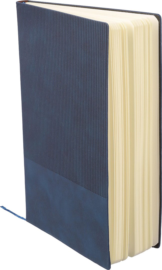 Notizbuch Truina | Recyceltes Kunstleder | A5 | Liniert