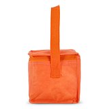 R-PET 6 Dosen-Kühltasche Non Woven 20x 13 x 12,5cm 75g/m² Veili