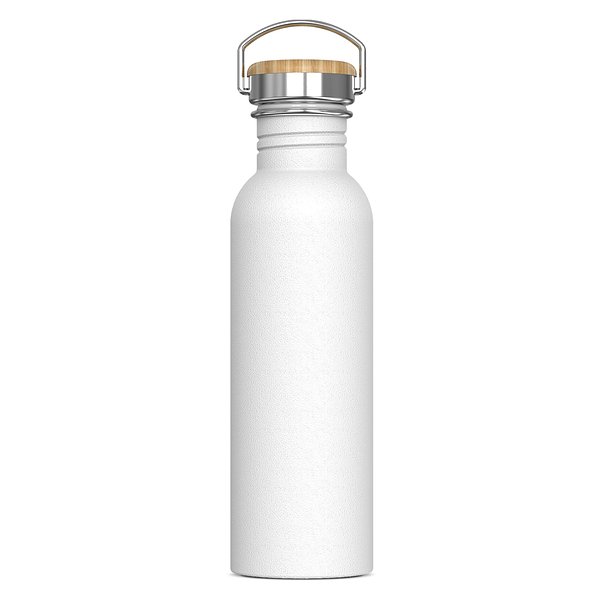 Wasserflasche Ashton 750ml Ureili