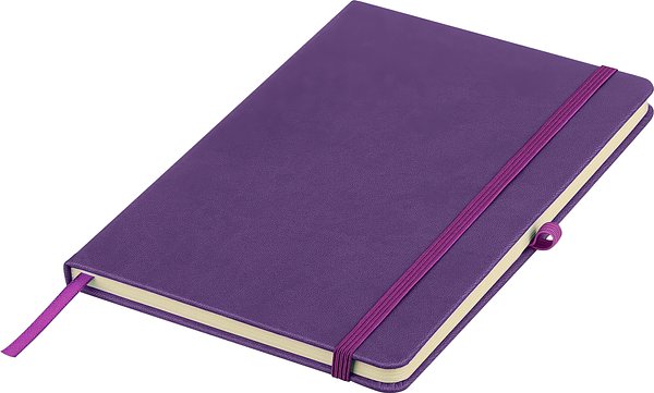 Recyceltes Notizbuch A5 Steilga