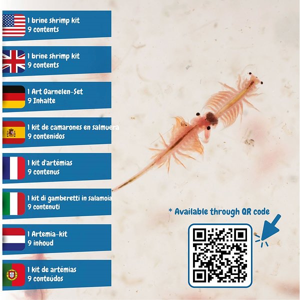 Lernspiel lieferung inklusive einer kraftpapiertasche (115 g/m²) Ruding