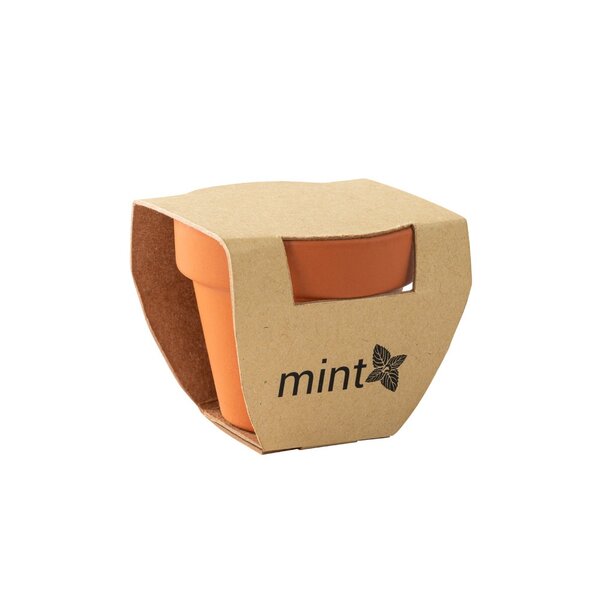 Terracotta Töpfchen - Minz Köbis