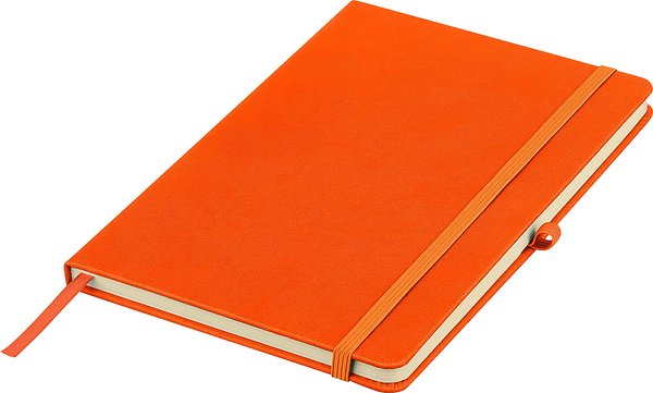 Recyceltes Notizbuch A5 Steilga