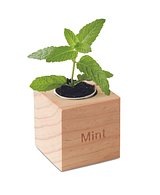 Kräuterpflanz-Set "Minze Vreilgi