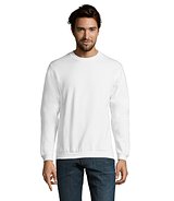 Herren Sweater 260g Bendinati