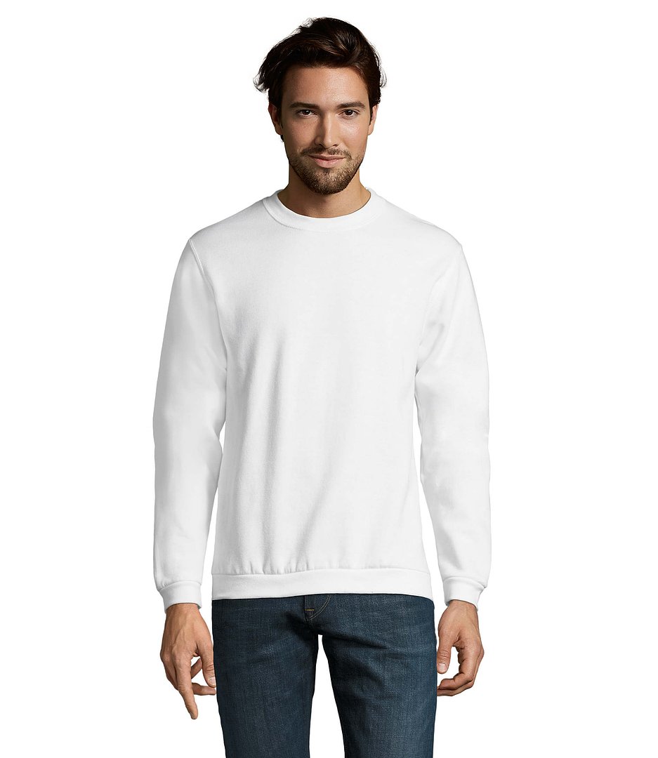 Herren Sweater 260g Bendinati