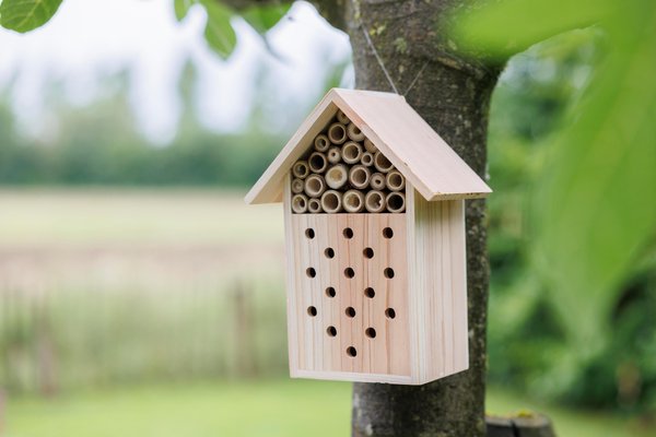 Bienenhaus Ferinanni | Recyceltes Holz