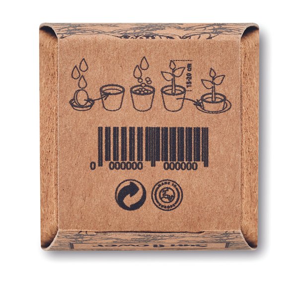 Pflanz-Set Sonnenblume Benglia