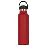 Isolierflasche Marley 650ml Paulandie