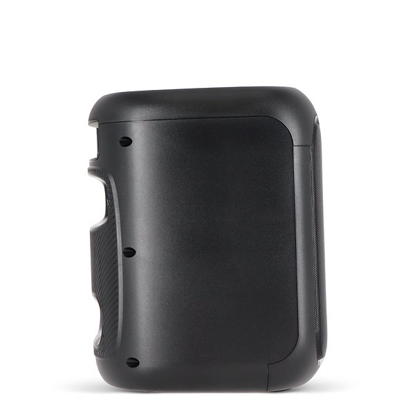 Party-Lautsprecher mit Mikrofon 150W Chatinana