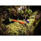 Kugelschreiber aus rPET Rudycild